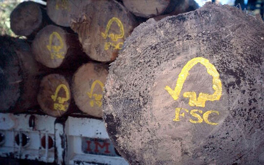 FSC certified wood for pellets fuel